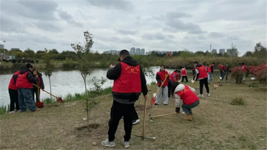 植此新绿，共“树”未来——bat365中文官方网站官网开展志愿植树活动