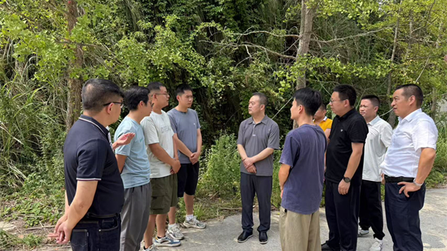 bat365中文官方网站官网组织开展乡村振兴实地调研工作 以灯光点亮乡村发展之路